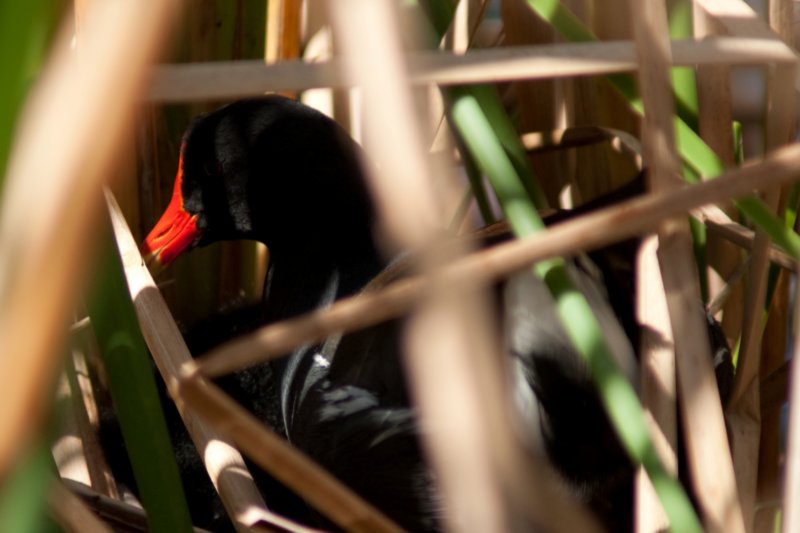 dsc01379.jpg