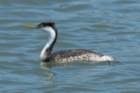 a900dsc02424_small.jpg