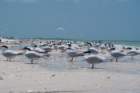 dsc02411_small.jpg