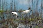 dsc04199_small.jpg