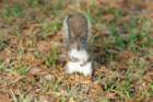 dsc02341_small.jpg