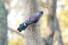 dsc02347_small.jpg