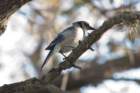 dsc02360_small.jpg