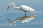 dsc02579_small.jpg