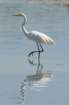 dsc02591_small.jpg