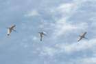 dsc02610_small.jpg