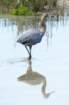 dsc02612_small.jpg
