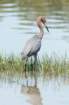 dsc02620_small.jpg