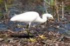 dsc02657_small.jpg