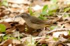 dsc02765_small.jpg