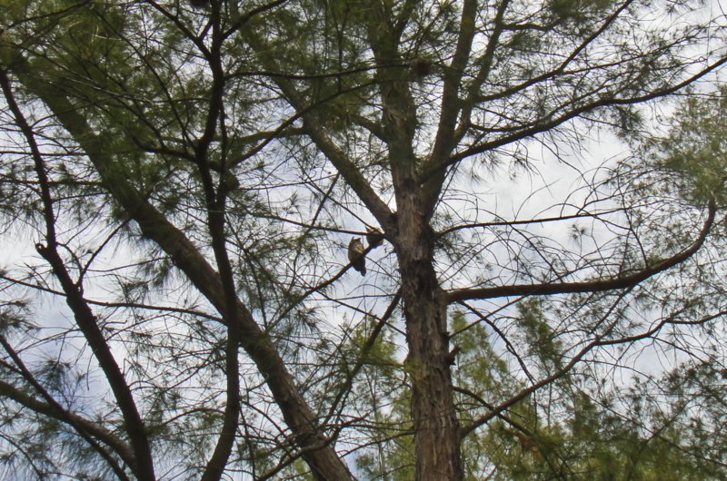 DSC00075a dsc00075a.jpg