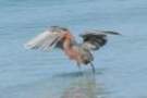 dsc05056_small.jpg