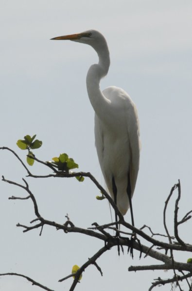 boydhillnaturereserve19042012042.jpg