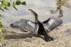dsc08746_small.jpg