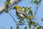 dsc09091_small.jpg