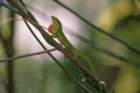 dsc09610_small.jpg