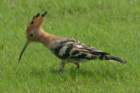 dsc04419_small.jpg