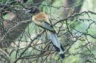 dsc04497_small.jpg