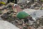 dsc06499_small.jpg