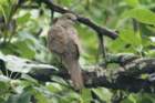 dsc06584_small.jpg