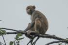 dsc06635_small.jpg