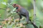 dsc06905_small.jpg