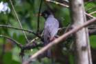 dsc07066_small.jpg