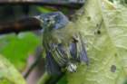 dsc07068_small.jpg