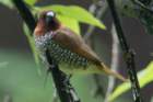dsc07092_small.jpg