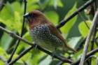 dsc07107_small.jpg