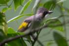 dsc07121_small.jpg