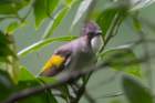 dsc07123_small.jpg