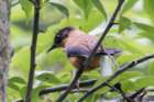 dsc07153_small.jpg