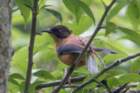 dsc07156_small.jpg