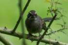 dsc07187_small.jpg
