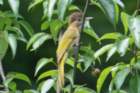 dsc07203_small.jpg