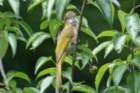 dsc07211_small.jpg
