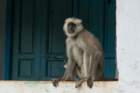 dsc07246_small.jpg