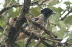 dsc07262_small.jpg