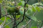 dsc07271_small.jpg
