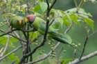 dsc07279_small.jpg