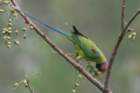 dsc07284_small.jpg