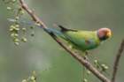 dsc07294_small.jpg