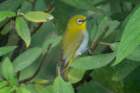 dsc07312_small.jpg