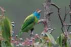 dsc07322_small.jpg