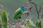 dsc07325_small.jpg