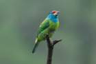 dsc07327_small.jpg