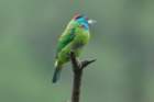 dsc07328_small.jpg