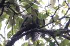 dsc07433_small.jpg
