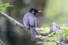 dsc07481_small.jpg